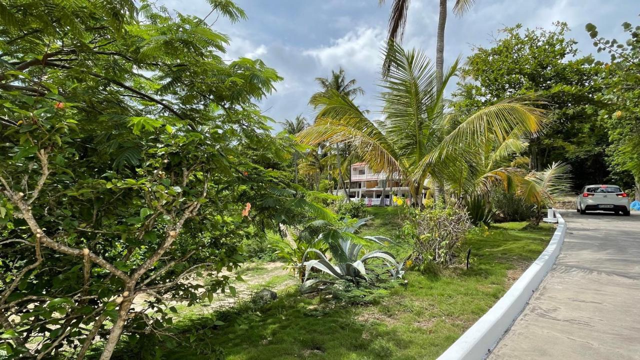 Le M Marie Galante Hotel *