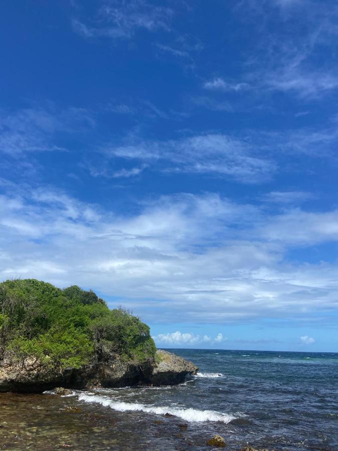 Le M Marie Galante