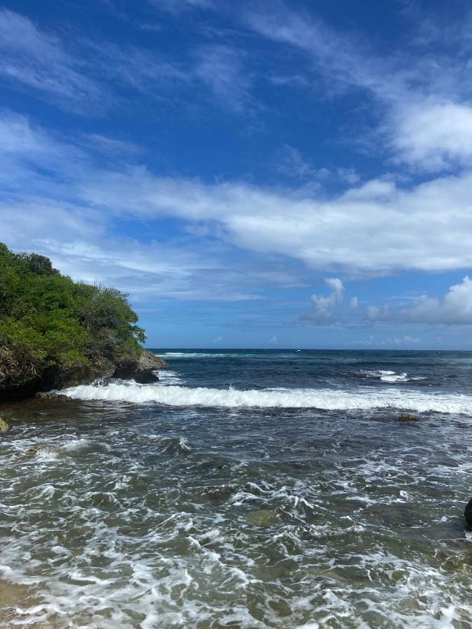 Hotel Le M Marie Galante *